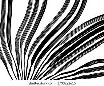 Grunge style. Abstract texture. Background. Brush pattern. White and black vector.