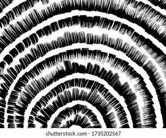 Grunge style. Abstract texture. Background. Brush pattern. White and black vector.