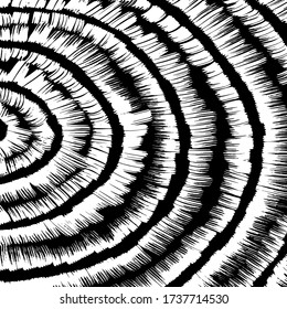 Grunge style. Abstract texture. Background. Brush pattern. White and black vector.