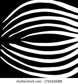 Grunge style. Abstract texture. Background. Brush pattern. White and black vector.