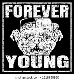 grunge style vector quote about young and dangerous with bulldog wearing cap hand drawing vector