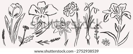 Grunge summer charcoal or chalk spring flower set. Vector illustration of ink hand drawn wild and garden herbs. Wax crayon drawings. Floral silhouette design elements perfect for Easter cards, placard