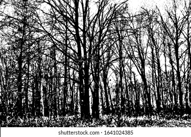 Grunge texture of an autumn Park. Vector image of autumn-winter Park, square. Overlay template.