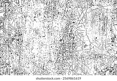 Grunge texture. Grunge background. Old style. Black and white colors