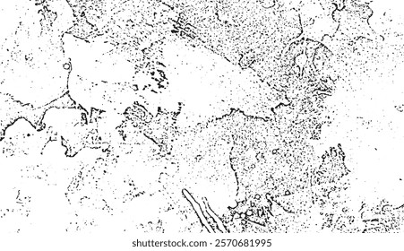 Grunge texture. Grunge background. Old style. Black and white colors