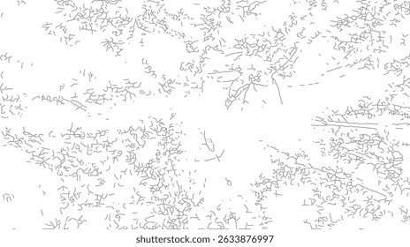 Grunge texture background, overlay rough textured on white space luxury background with wood annual rings texture, wooden texture, wave pattern, Vector Grunge Pattern, Abstract geometric background.