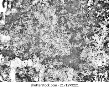  grunge texture for background.dark white background with unique texture.Abstract grainy background, old painted wall.Rough black and white texture vector. Distressed overlay texture. Grunge backgroun