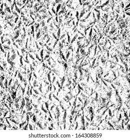 Grunge texture Birdprint trace. EPS10 vector.