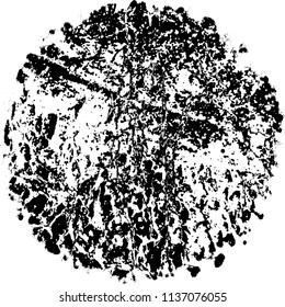 Grunge texture black and white. Abstract spot isolated