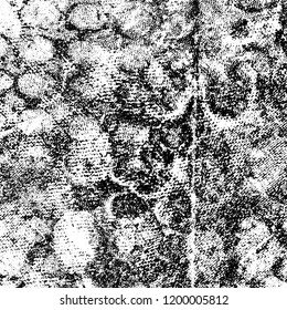 Grunge texture black and white. Abstract monochrome vector background