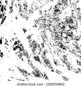Grunge texture black and white. Abstract monochrome vector background