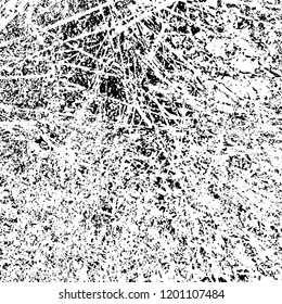 Grunge texture black and white. Abstract monochrome vector background