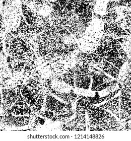 Grunge texture black and white. Abstract monochrome vector background