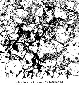 Grunge texture black and white. Abstract monochrome vector background