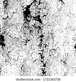 Grunge texture is black and white. Old worn background template