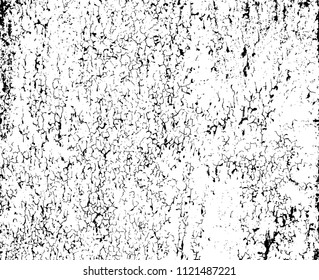Grunge  texture black and white vector illustration
