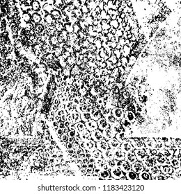 Grunge texture is black and white. Vector abstract background. Pattern of cracks, chips, scuffs, dust. Old vintage surface