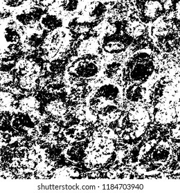 Grunge texture is black and white. Vector abstract background. Pattern of cracks, chips, scuffs, dust. Old vintage surface