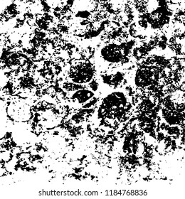 Grunge texture is black and white. Vector abstract background. Pattern of cracks, chips, scuffs, dust. Old vintage surface