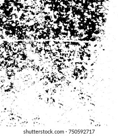 Grunge texture black and white. Vector monochrome texture. Vintage pattern from stains and cracks