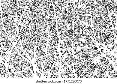 Grunge texture of chaotic tree branches. Monochrome background of the negative crown of the forest. Overlay template. Vector illustration