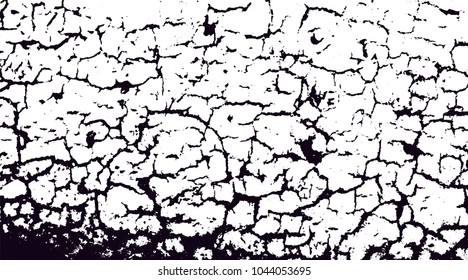 Grunge texture of the crack. Texture isolated on white background. Vector illustration.