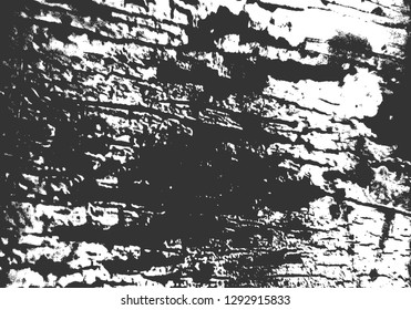 Grunge Texture. Distress Overlay Texture For Your Design. Vector illustration.