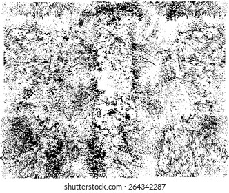 Grunge Texture. Distress Overlay Texture For Your Design. Cracked Texture. Vector illustration.