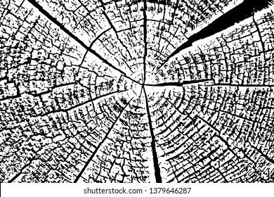 Grunge texture of the end of an old log. Monochrome background of wood saw cut with annual rings and cracks. Overlay template. Vector illustration
