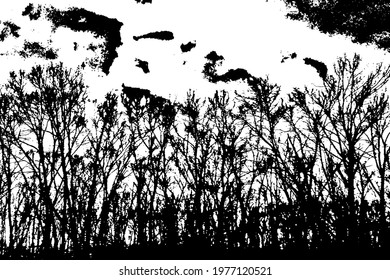 Grunge texture images of trees without leaves on the background of the sky. Vector illustration. Overlay Template.