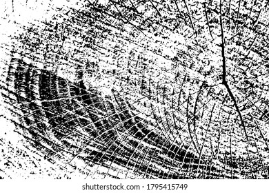Grunge textura del extremo del tronco. Fondo monocromo de madera seca cortada con grietas, anillos anuales, semitono y grano. Plantilla de superposición. Ilustración del vector