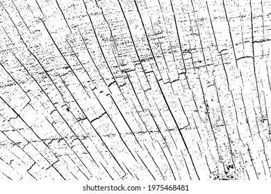 Grunge texture of the log end. Monochrome natural wood cut background with streaks, cracks, spots and noise. Overlay template. Vector illustration