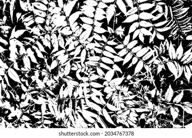 Textura gruesa de ramas de dulces. Fondo blanco y negro de la naturaleza, hojas de caramelo. Ilustración vectorial. Plantilla de superposición.
