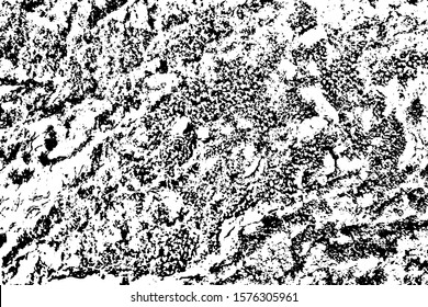 Grunge texture of moss on tree bark. Abstract background with graininess, noise, hollows. Vector illustration. Overlay template. Black and white image of moss.
