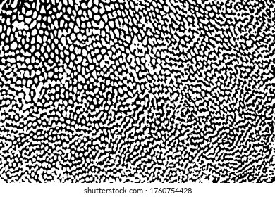 Grunge texture of a mottled organic surface. Monochrome dark background of chaotic spots with wavy edges, noise and grain. Overlay template. Vector illustration