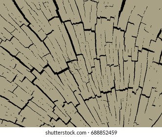 Grunge texture of an old cracked log. vector illustration.