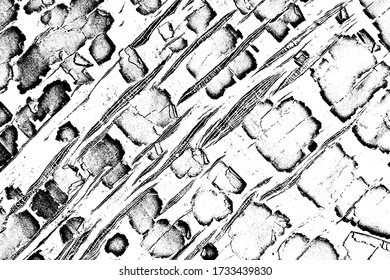 Grunge texture of an old scuffed surface with spots, threads, noise and grit. Monochrome background of shabby dilapidated oilcloth with damage and scratches. Overlay template. Vector illustration