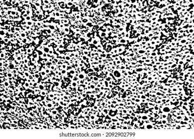 Textura gruesa de la superficie del panqueque. Fondo monocromo moteado de una estructura nostálgica y porosa con manchas, ruido y grano. Plantilla de superposición. Ilustración del vector