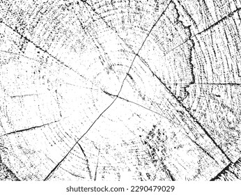 Grunge texture of poplar cross-section with cracks on organic monochrome sawn log background. Ideal for texture overlays, stencils and adding a raw, organic feel to designs. Design element