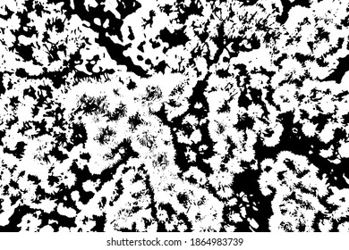 Grunge texture of a rough surface with noise, grit, and dirt. Looks like fluff. Vector illustration. Overlay template.