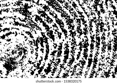 Grunge texture of sawn wood. Monochrome background of the cut of pine logs with annual rings, spots and noise. Overlay template. Vector illustration