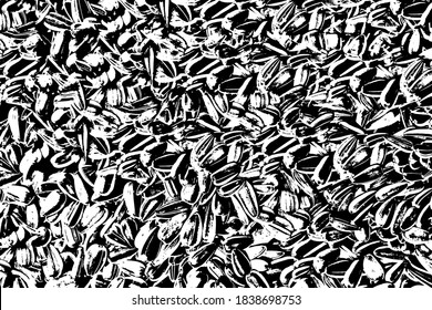 Textura gruesa del fondo de semillas de girasol. Resumen de fondo monocromo de girasol pequeño. Semillas naturales. Ilustración vectorial. Plantilla de superposición.