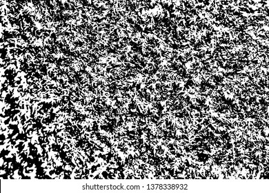 Grunge texture surface covered with moss. Overlay template. Vector illustration