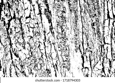 Grunge texture of tree bark. Abstract background of tree bark. Vector illustration. Overlay template.