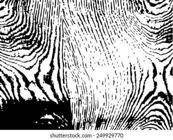 Grunge texture. vector template