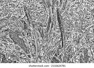 Grunge texture of wild vegetation close-up. Monochrome background of a summer lawn with spots, noise and grain. Overlay template. Vector illustration