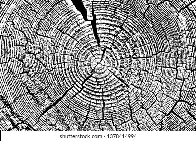 Grunge texture wood ring pattern with cracks. Monochrome background of an old damaged log saw cut with annual rings and cracks. Overlay template. Vector illustration