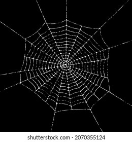 Grunge textured spiderweb on a black background