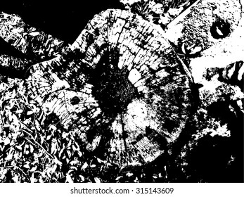 conjunto de texturas gruesas. fondo