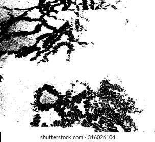 grunge textures set. background